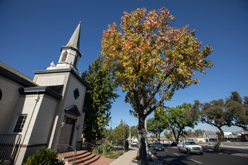 Beautiful trees frame a historic church in downtown Corona, California, USA.