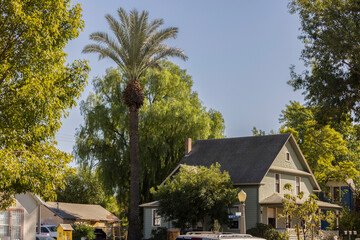 Tree lined view of a neighborhood near downtown Corona, California, USA.