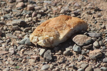 A piece of dry bread on the ground