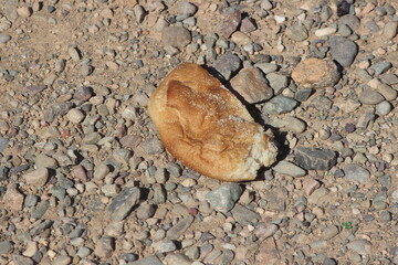 A piece of dry bread on the ground