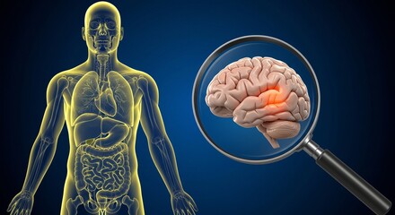 Human anatomy with a brain closeup showing a highlighted area, suggesting potential neurological issues.