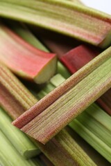 Many fresh rhubarb stalks as background, closeup