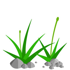 Grass and Rock Graphics