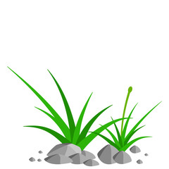 Grass and Rock Graphics