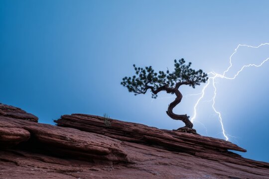 bent. A lone gnarled tree silhouetted against a stormy sky with lightning. travel magazines, destination branding, designed for outdoor magazines and nature guides and travel destination branding.
