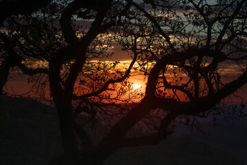 dramatic red sunset landscape with trees silhouette