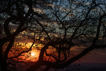 dramatic red sunset landscape with trees silhouette