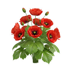 Obraz premium Red poppies with green leaves on black background isolated illuustration on transparent background 