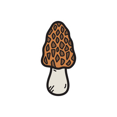 A Single Morel Mushroom with a Distinctive Honeycomb Cap and Light Stem Against a White Background Simple Vector Illustration