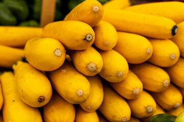 Zuchinni for sale on display at the Union Square Farmers Market in New York City on Wednesday, Oct. 8, 2025. (Photo: Gordon Donovan)