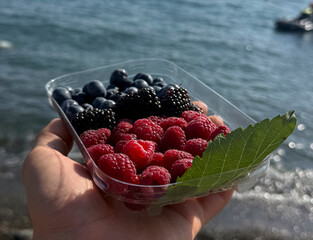 A hand holds a container of mixed berries near the water's edge under clear skies