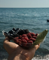 Hand displaying a mix of fresh raspberries and blackberries by the seaside under a clear sky