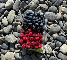 A container filled with blueberries, blackberries, and raspberries on flat stones by the ocean