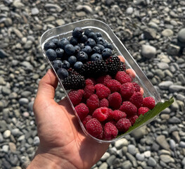 Hand holds a container filled with blueberries, blackberries, and raspberries on stones