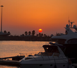 Warm sunset casts orange hues over the marina, highlighting boats and silhouettes of palm trees