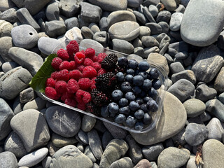 A tray of raspberries, blackberries, and blueberries rests on flat pebbles by the shore