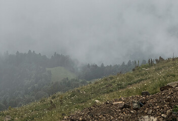 Fog covers the hills, revealing lush greenery and rocky areas in a tranquil mountainous scene
