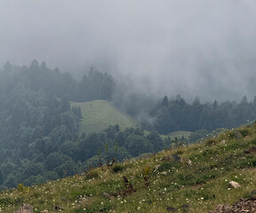 Lush green hills blend into misty mountains, creating a serene landscape filled with tranquility