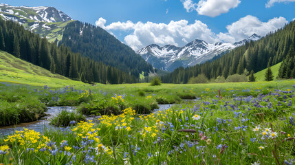MountainMeadowWithWildflowers