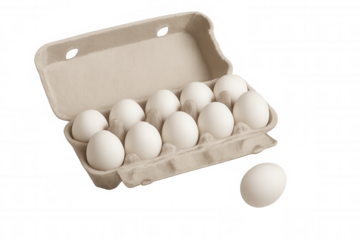 Fresh chicken eggs in an open recycled pulp tray, displaying healthy ingredients for cooking and breakfast on a transparent background