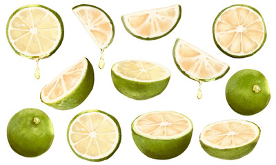 水彩で描いたナチュラルな柑橘系フルーツの素材セット