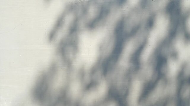 Blurred shadows of tropical leaves moving against a gray wall background. Summer concept.