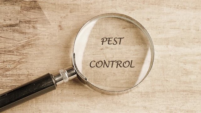 PEST CONTROL message visible through a magnifying glass on papyrus paper. Pest control service protective concept