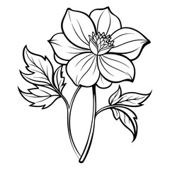 black and white flower