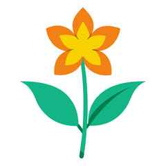 sugarbush flower on white background