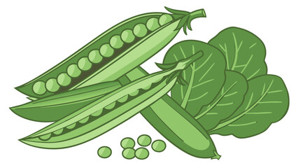 Fresh Green Peas and Spinach Illustration Healthy Eating Vegetables Vegan Food Graphics.