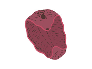 Liver Fluke Illustration