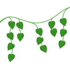 Obraz premium Illustration of betel leaf plant. Illustration of climbing leaf decoration. Illustration of green leaf. Illustration of herbal plant leaf