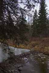 Cloudy Autumn Day at Whitemud Park