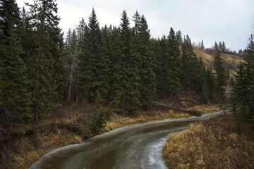 Cloudy Autumn Day at Whitemud Park
