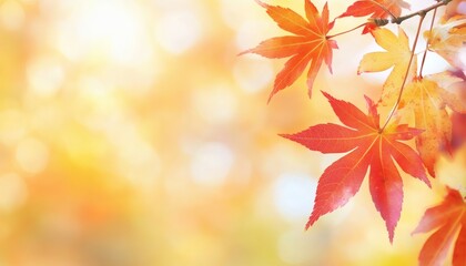 Fototapeta premium The image shows several red and orange maple leaves on a branch against a bright, blurry background of yellow and white bokeh.