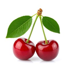 Two ripe cherries with leaves