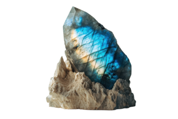 Stunning labradorite crystal specimen with vibrant blue iridescence on a textured rock base display on transparent background