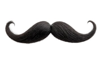 Detailed studio shot showcases a classic black handlebar mustache element on transparent background