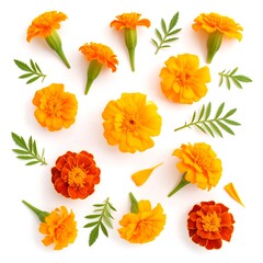 Vibrant marigolds and leaves, flat lay