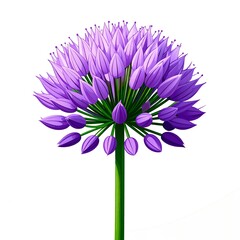Vibrant purple flower head
