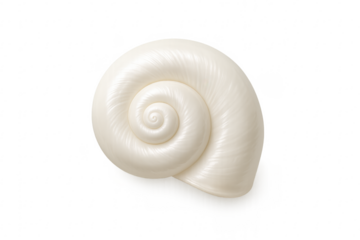 White spiral seashell object rotating on transparent background