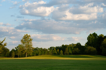 green field and blue sky