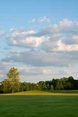 green field and blue sky