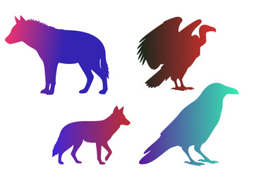 Silhouettes of four flightless birds with gradient colors. The birds depicted are an ostrich (Struthio camelus), emu (Dromaius novaehollandiae), kiwi (Apteryx species), and cassowary (Casuarius specie