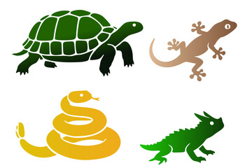 Silhouettes of four reptiles on a white background. Top left: a green turtle (Testudines) with distinctive shell pattern. Top right: a brown lizard (Lacertilia) with four legs and a curved tail.