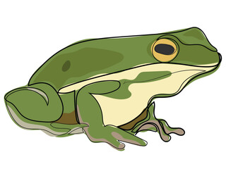 Frog in continuous line drawing