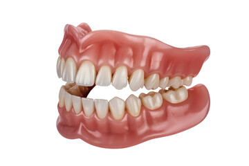 Obraz premium Realistic dental prosthesis showcasing bright white teeth and gum detail for oral health education and cosmetic dentistry concepts
