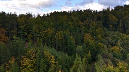 Stunning and Scenic Aerial View of a Beautifully Vibrant Autumn Forest Landscape