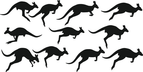Silhouette of kangaroo jumping and running in various poses, Australian wildlife animal illustration, marsupial motion art, wild nature concept