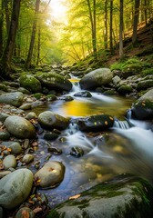 Sunlit stream flowing through mossy rocks in a serene, vivid forest